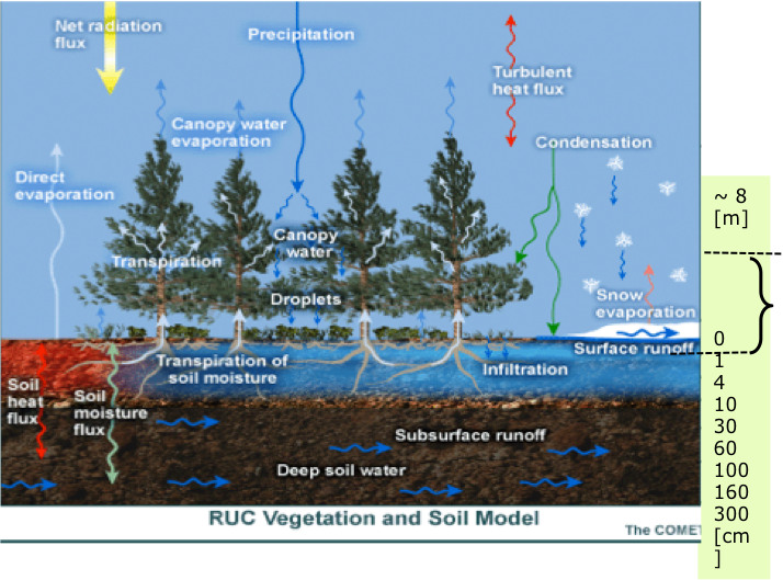 ruc_lsm_veg_soil.png